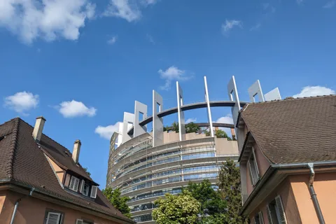 Strasbourg: European District Walking Tour