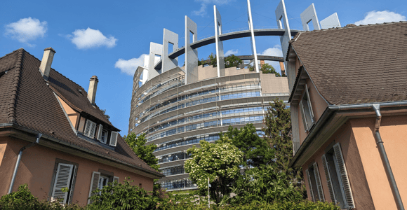 Strasbourg : European District Walking Tour