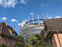 Strasbourg , European District Walking Tour - Hizvo