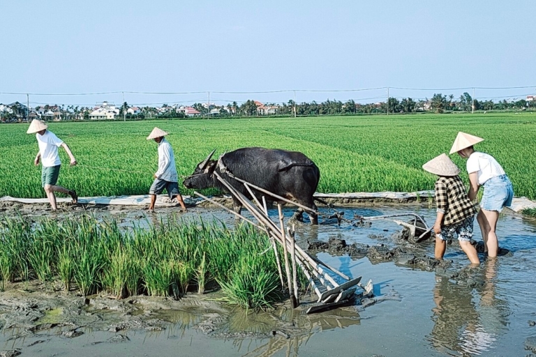 Verken het platteland van Hoi An met fietsen, buffelrijden en landbouw