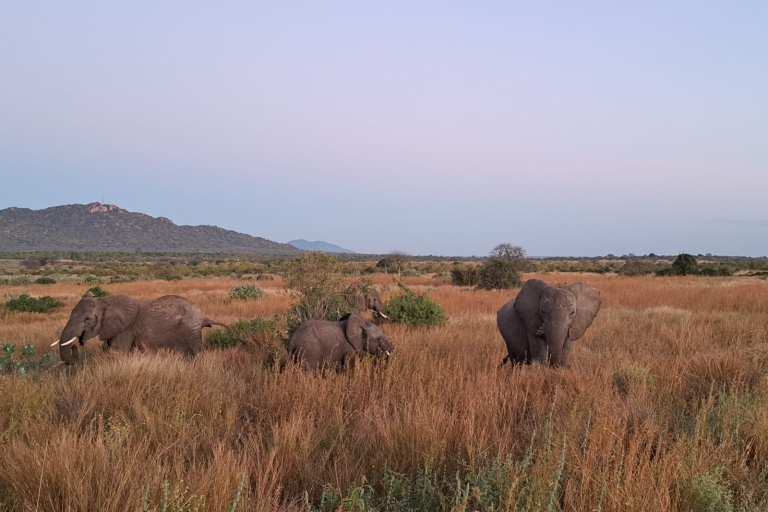 3-daagse onvergetelijke safaritour: Tarangire, krater en Manyara