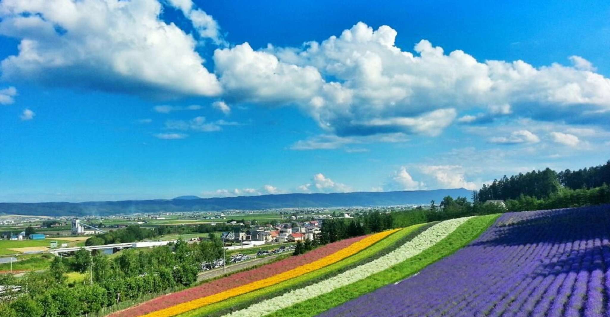 Hokkaido, Biei Blue Pond et Furano Flower Farm Voyage d'une journée - Hizvo