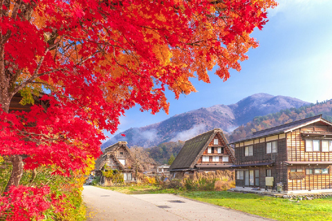 Nagoya: Shirakawa-go Village and Takayama UNESCO 1-Day Trip From Nagoya: Shirakawa-go and Takayama Full-Day Trip