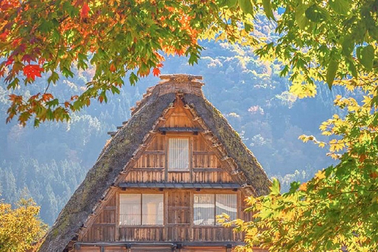 Nagoya: Shirakawa-go Village and Takayama UNESCO 1-Day Trip From Nagoya: Shirakawa-go and Takayama Full-Day Trip