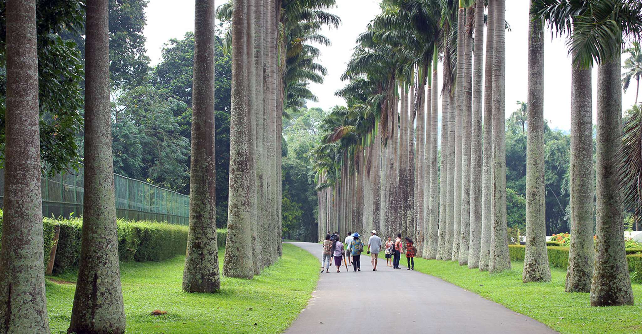 Drei Tempel Schleife in Kandy Tagestour von Tuk Tuk - Hizvo
