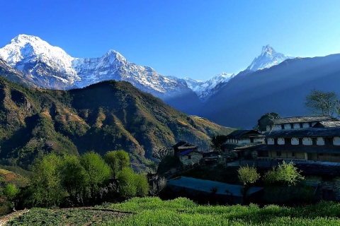 Pokhara: Geführte Tagestour durch das Dorf Dhampus - Runde am Berg