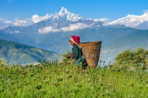 Pokhara: Geführte Tagestour durch das Dorf Dhampus - Runde am Berg