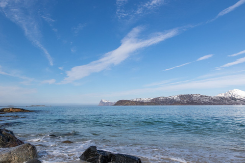 Tromso Excursión de un día al fiordo panorámico de Kvaløya y Sommarøy