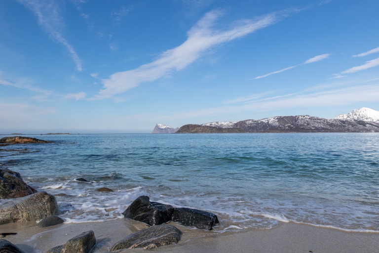 Tromso : Excursion d'une journée dans le fjord panoramique de Kvaløya et Sommarøy