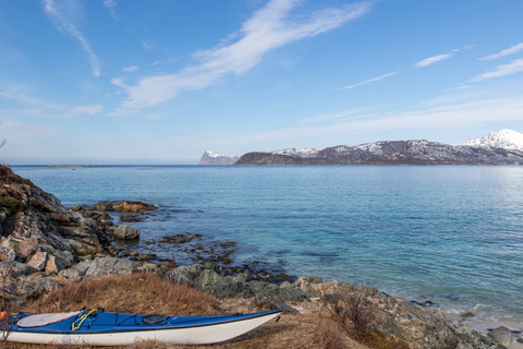 Tromso Excursión de un día al fiordo panorámico de Kvaløya y Sommarøy