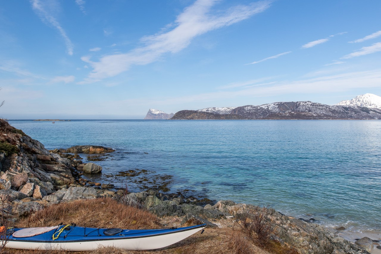 Tromso : Excursion d'une journée dans le fjord panoramique de Kvaløya et Sommarøy