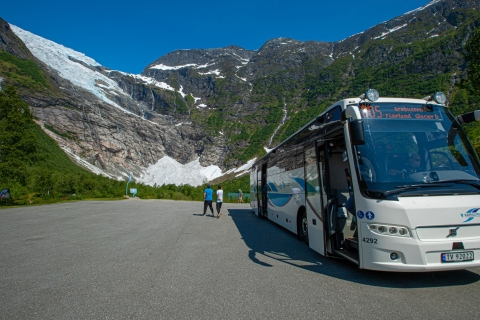 Bergen: Excursión guiada por los fiordos y glaciares de FjærlandGuía Excursión por los Fiordos y Glaciares desde Bergen