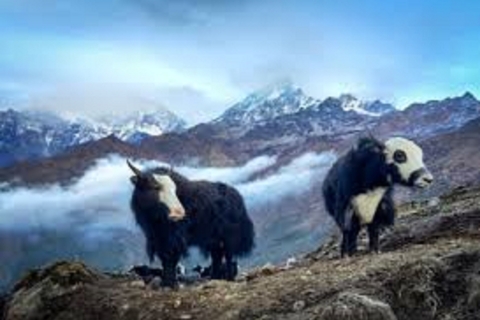 2 Nächte 3 Tage Khumai Danda Trek ab Pokhara