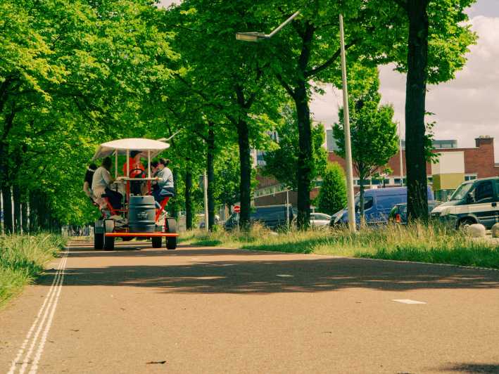 Amsterdam: tour en bicicleta por Holanda