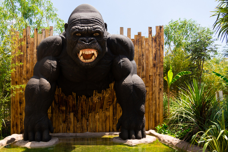 Valmontone: Bilet wstępu do parku rozrywki MagicLand