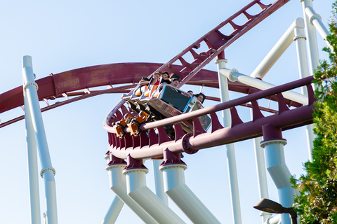 Valmontone: Bilet wstępu do parku rozrywki MagicLand