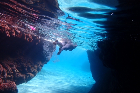 Excursión guiada a las Cuevas de Agia Napa C + Snorkel en Konnos - SIN barcoChipre: Excursión guiada de un día de buceo en las cuevas marinas de Agia Napa