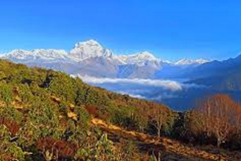 3 noches 4 días Mohare danda y Poon hill trek desde pokhara