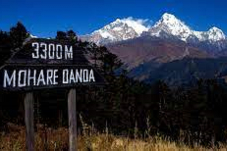 3 noches 4 días Mohare danda y Poon hill trek desde pokhara