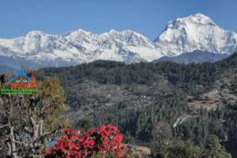 3 noches 4 días Mohare danda y Poon hill trek desde pokhara