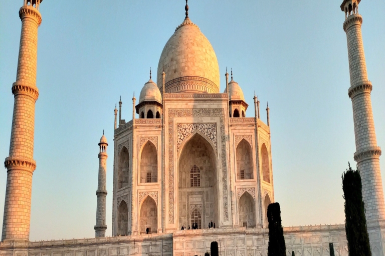 Depuis Delhi : Visite privée du Taj Mahal et du fort d'Agra au lever du soleil