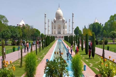 Desde Delhi: Excursión Privada al Amanecer por el Taj Mahal y el Fuerte de Agra