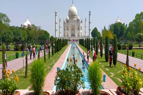 Van Delhi: Sunrise Taj Mahal en privétour Agra fort