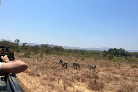 Safari en 4x4 d'une journée dans le parc national de l'Akagera