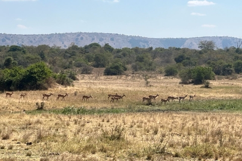 Akagera National Park Ganztägige Pirschfahrt Safari