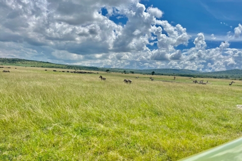 Akagera National Park: Gamedrive-safari van een hele dagAkagera National Park-safari van een hele dag