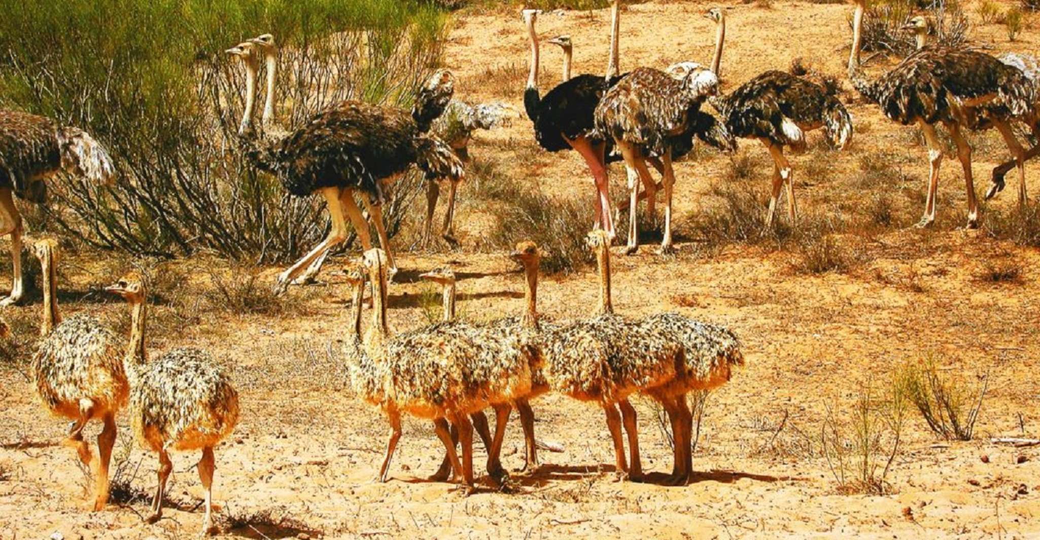 Tour de medio día Parque Nacional de Vida Silvestre incluyendo almuerzo - Hizvo