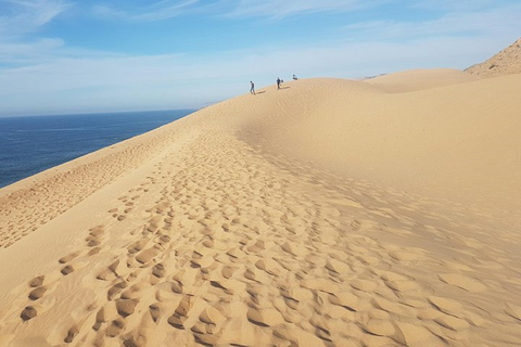 De Agadir: Excursão ao Parque Nacional Souss-Massa com almoçoExcursão de meio dia ao Parque Nacional da Vida Selvagem, incluindo almoço