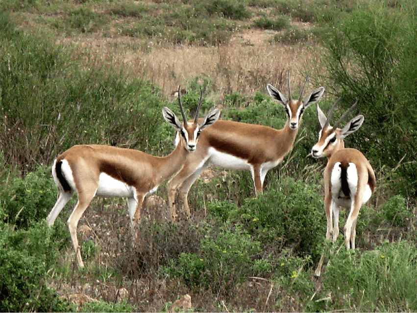 Parc Souss-Massa