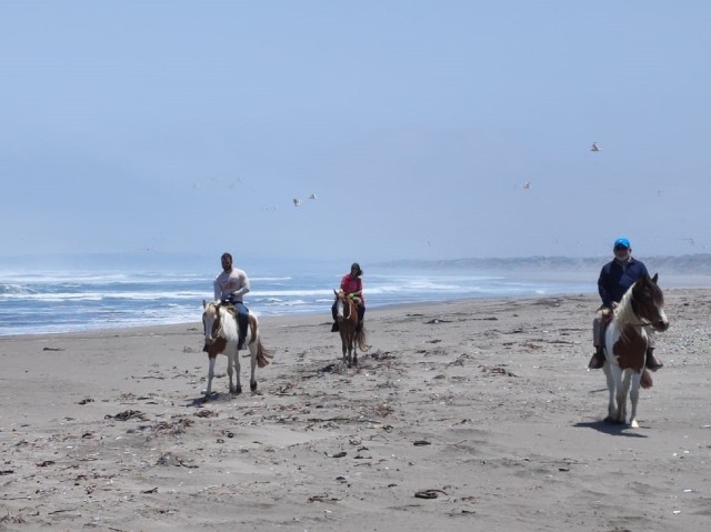 Visit Horse Riding & Barbecue, Ritoque Sand Dunes & Beach F. Valpo in Valparaiso