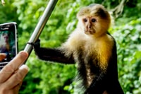 Panama, Monkey Island, Sloth Sanctuary und Panama Canal Tour - Hizvo