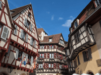 Colmar, Obgins Winging Sour Waling and Wain Twating - Hizvo