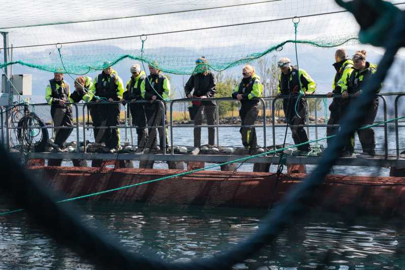 Vist a Fish Farm in Hardanger, Guided tour, with RIB-boat.