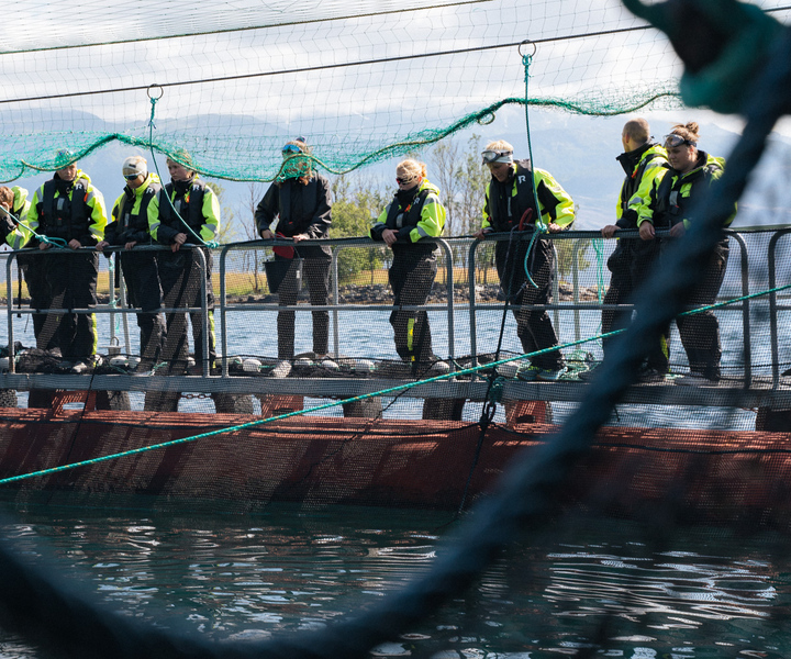 Vist a Fish Farm in Hardanger, Guided tour, with RIB-boat.