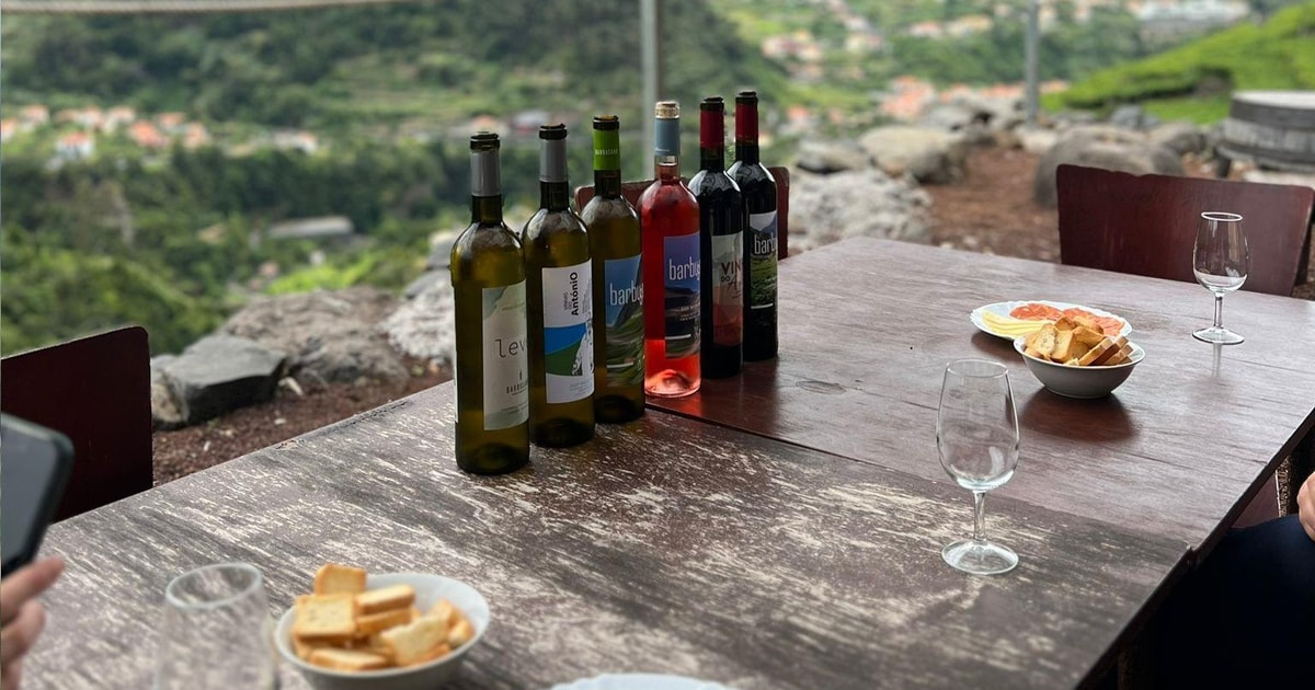 Madeira Wine Tasting Guided Tour, Jeep Safari, & Viewpoints GetYourGuide