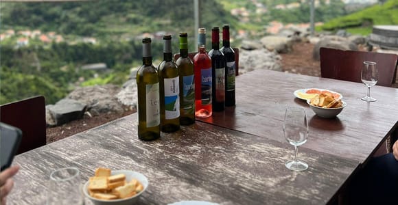 Madeira: Wine Tasting Guided Tour, Jeep Safari, & Viewpoints