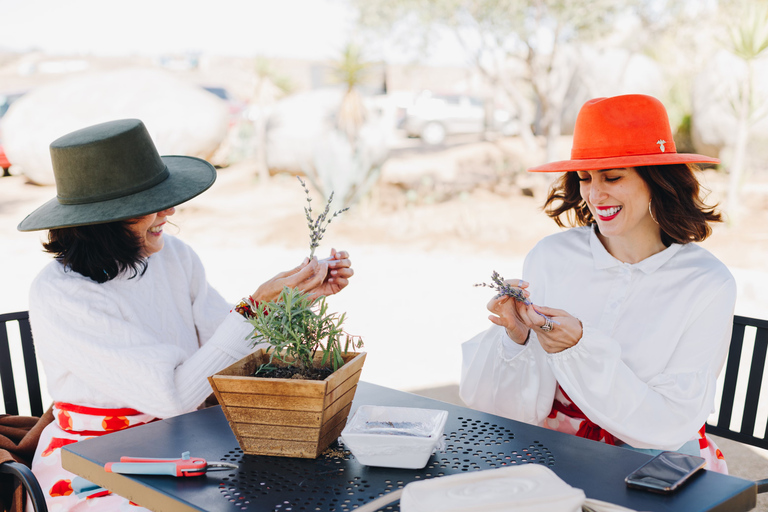 Lavender Experience Valle de Guadalupe - Guided Field Tour