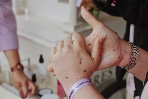 Lavender Experience Valle de Guadalupe - Guided Field Tour