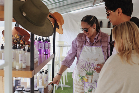 Lavender Experience Valle de Guadalupe - Guided Field Tour