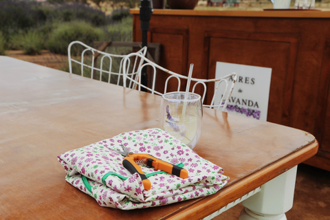 Lavender Experience Valle de Guadalupe - Guided Field Tour