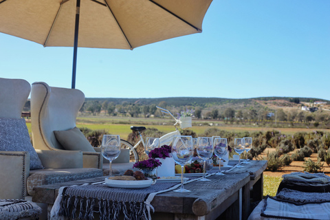 Ensenada: Picnic in Lavender Fields at Aires de Lavanda