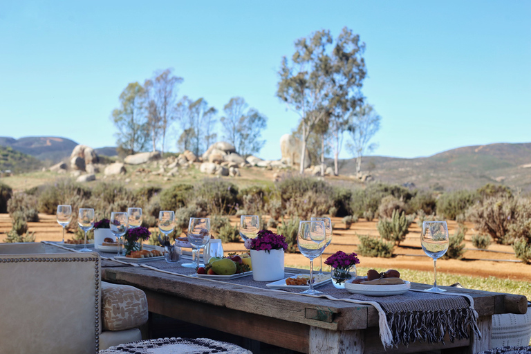 Ensenada: Picnic in Lavender Fields at Aires de Lavanda