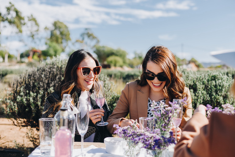 Ensenada: Picnic in Lavender Fields at Aires de Lavanda