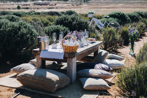 Ensenada: Picnic in Lavender Fields at Aires de Lavanda