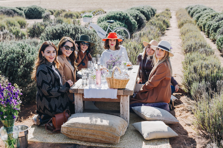 Ensenada: Picnic in Lavender Fields at Aires de Lavanda