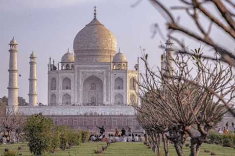 Luksusowa wycieczka do Taj Mahal z Delhi